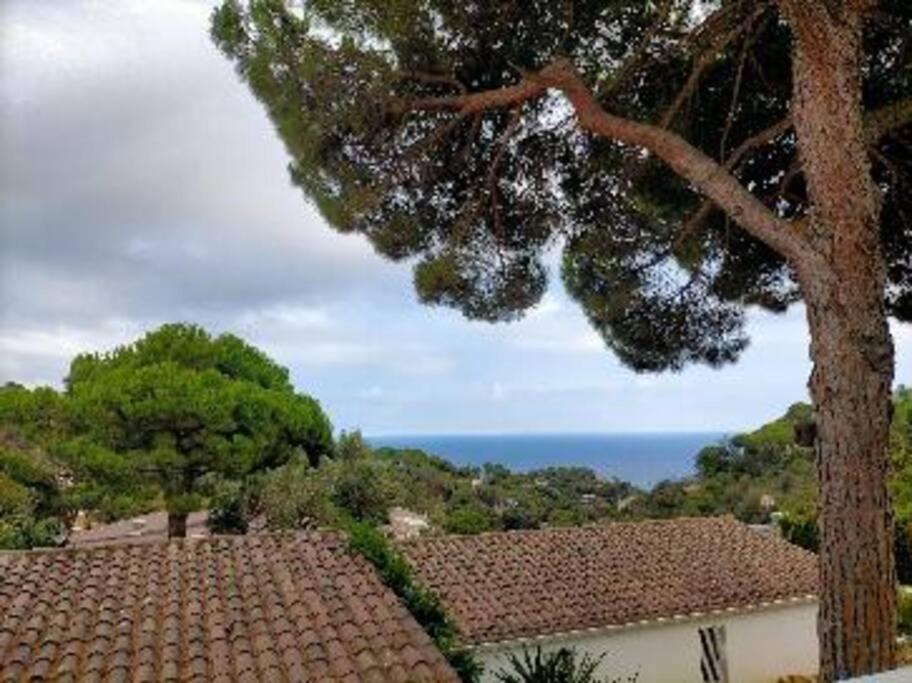 Lesal Villas Rentals, Villa Mar Azul, Tossa De Mar Exterior foto